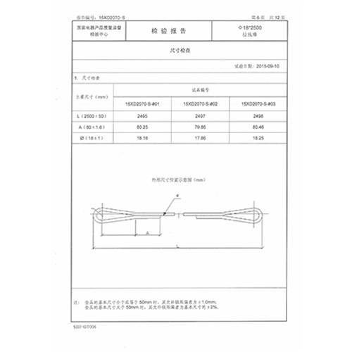 拉线棒检测报告