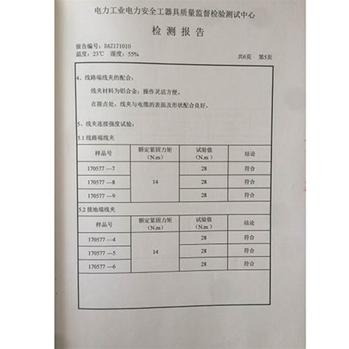 个人保安线 0.4KV检测报告