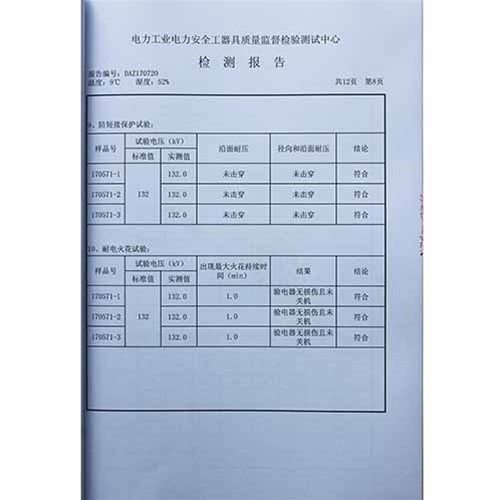 电容型验电器110KV检测报告