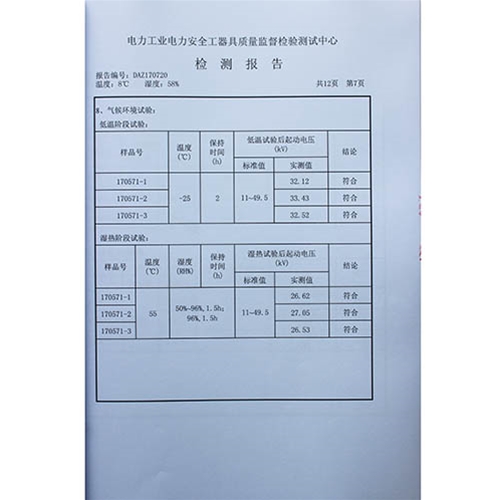 电容型验电器110KV检测报告