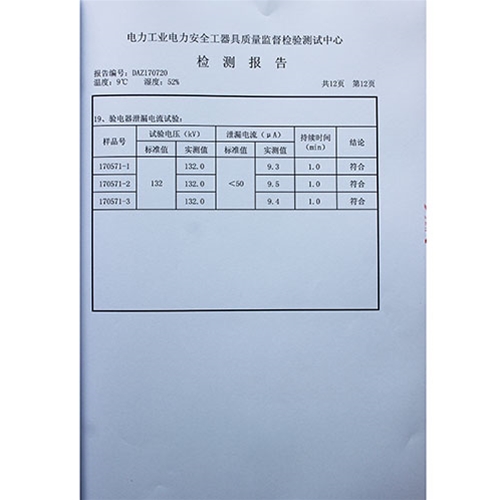 电容型验电器110KV检测报告