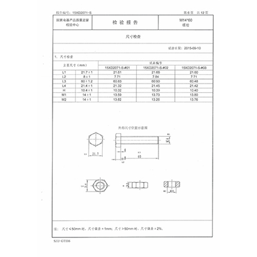 螺栓检测报告