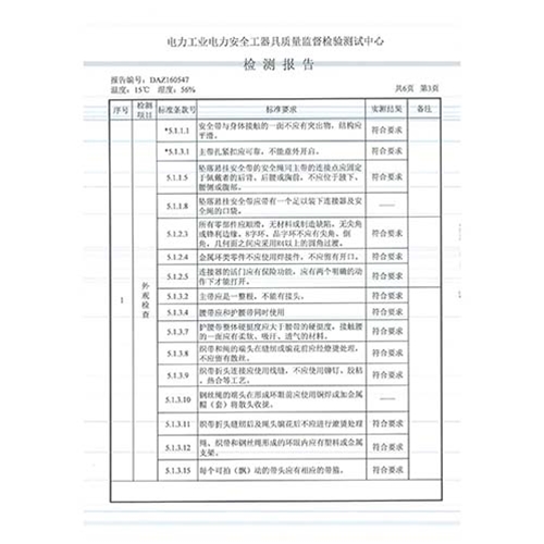 安全带检测报告