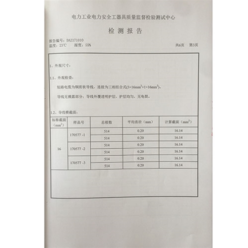 个人保安线 0.4KV检测报告