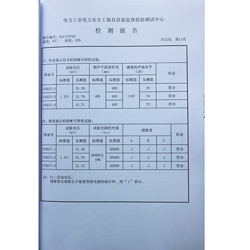 电容型验电器110KV检测报告