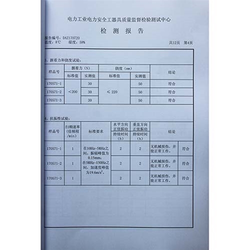 电容型验电器110KV检测报告