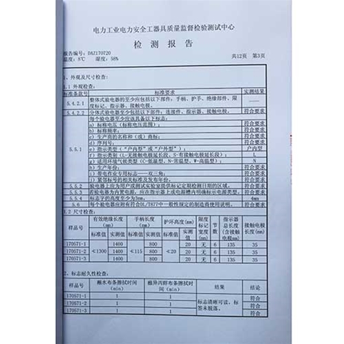 电容型验电器110KV检测报告